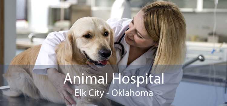 Animal Hospital Elk City - Oklahoma