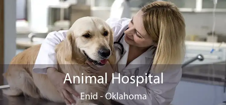 Animal Hospital Enid - Oklahoma