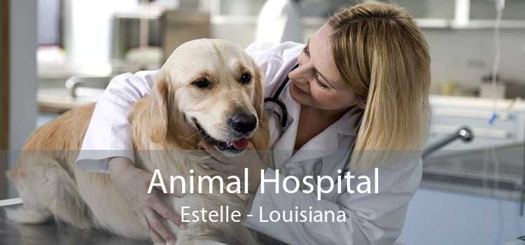 Animal Hospital Estelle - Louisiana