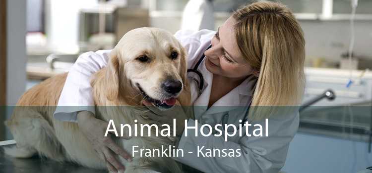 Animal Hospital Franklin - Kansas