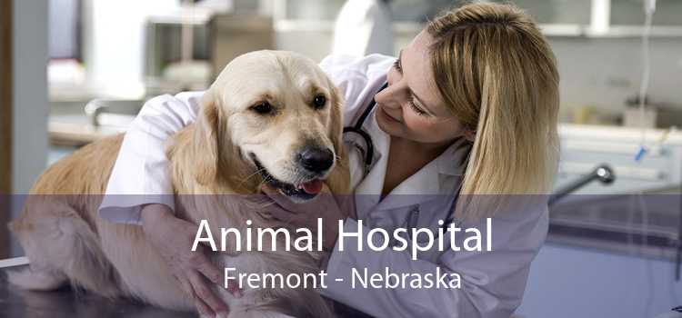 Animal Hospital Fremont - Nebraska