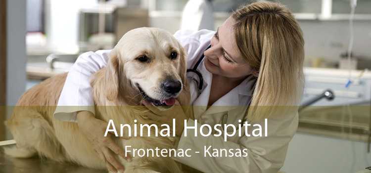 Animal Hospital Frontenac - Kansas