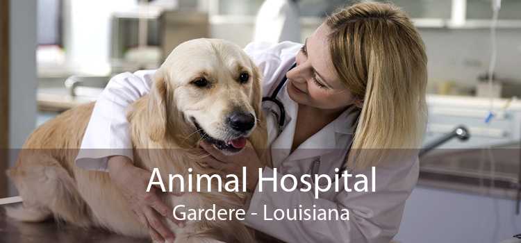 Animal Hospital Gardere - Louisiana