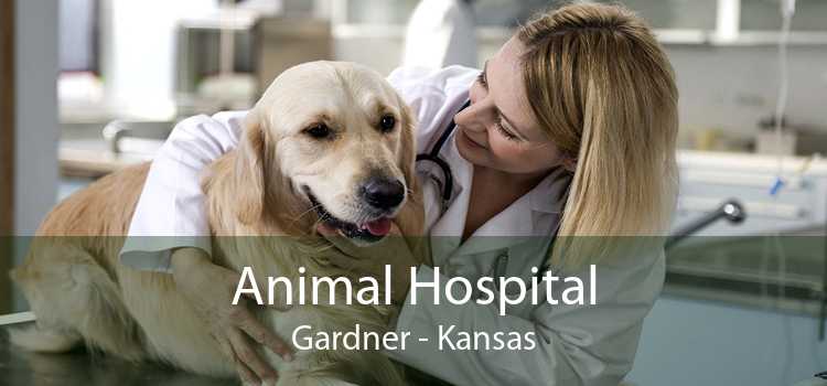 Animal Hospital Gardner - Kansas