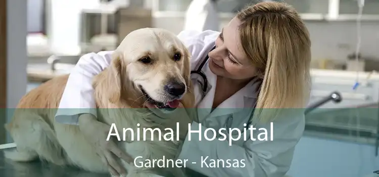 Animal Hospital Gardner - Kansas