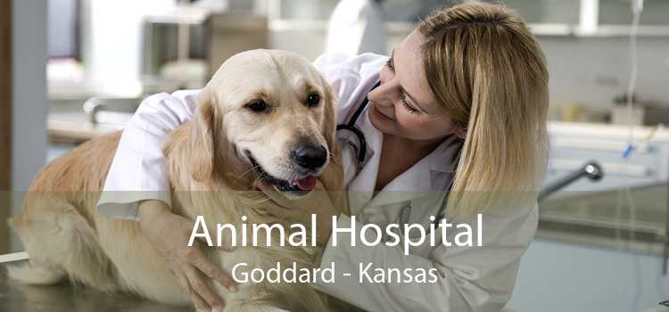 Animal Hospital Goddard - Kansas