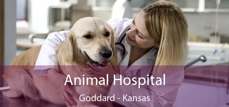 Animal Hospital Goddard - Kansas