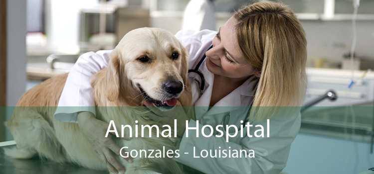 Animal Hospital Gonzales - Louisiana