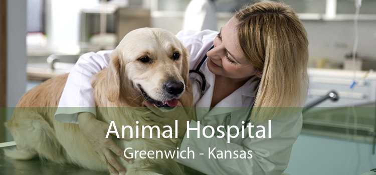 Animal Hospital Greenwich - Kansas