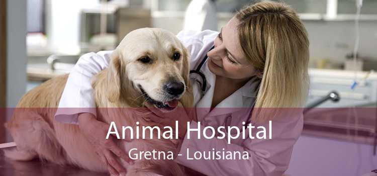 Animal Hospital Gretna - Louisiana