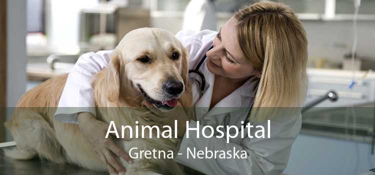 Animal Hospital Gretna - Nebraska