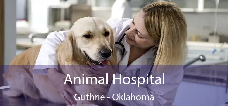 Animal Hospital Guthrie - Oklahoma