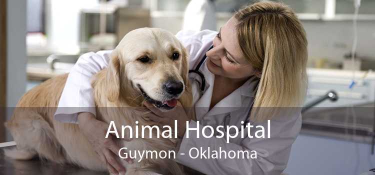 Animal Hospital Guymon - Oklahoma