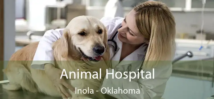 Animal Hospital Inola - Oklahoma