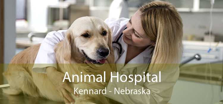 Animal Hospital Kennard - Nebraska