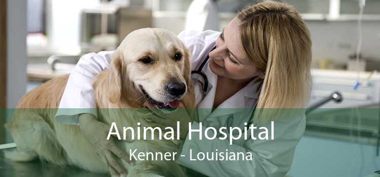Animal Hospital Kenner - Louisiana