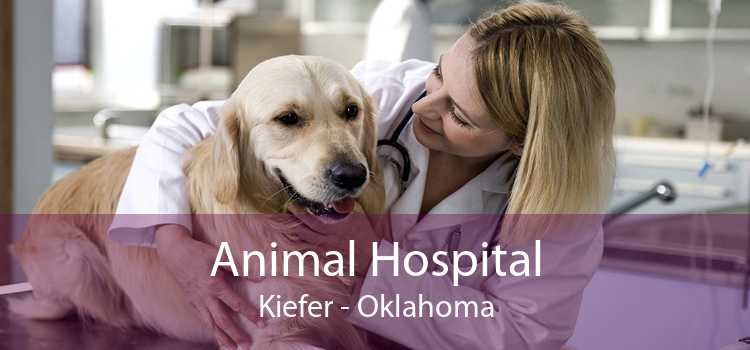 Animal Hospital Kiefer - Oklahoma