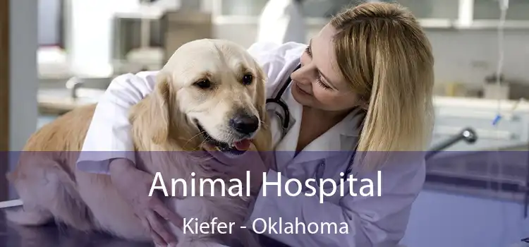 Animal Hospital Kiefer - Oklahoma
