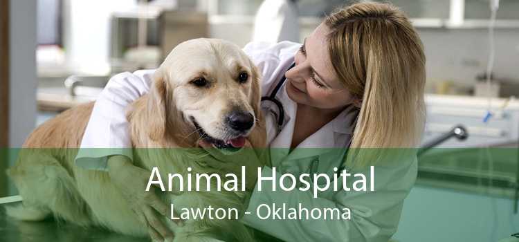 Animal Hospital Lawton - Oklahoma