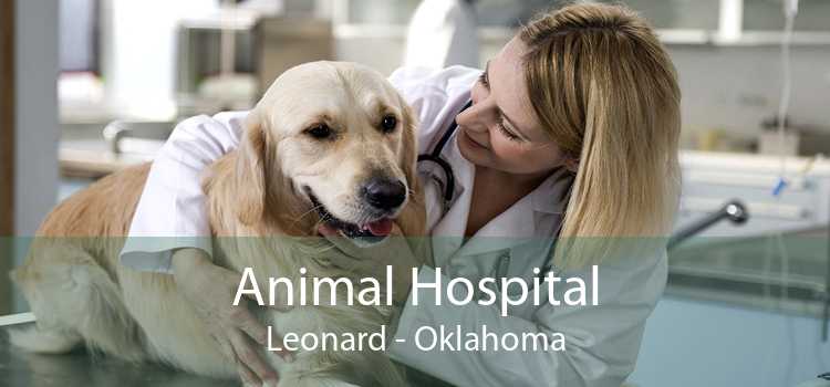 Animal Hospital Leonard - Oklahoma