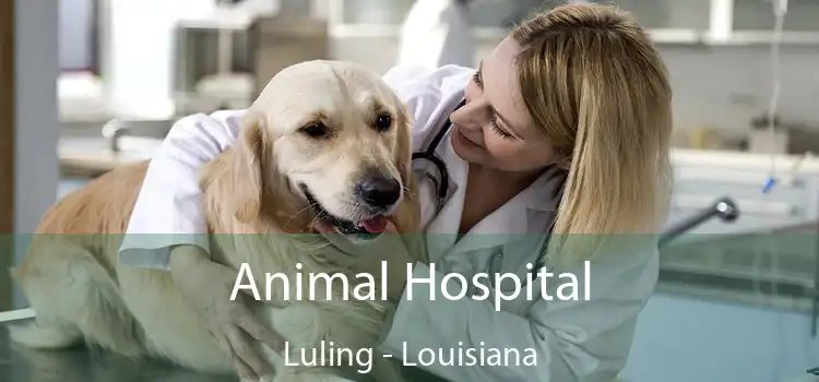 Animal Hospital Luling - Louisiana