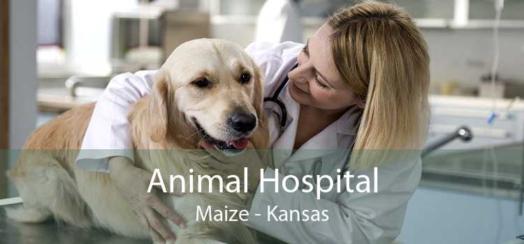 Animal Hospital Maize - Kansas