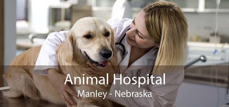 Animal Hospital Manley - Nebraska