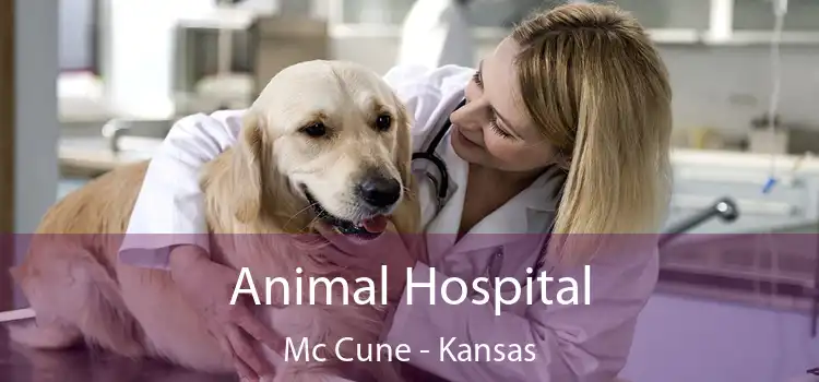 Animal Hospital Mc Cune - Kansas