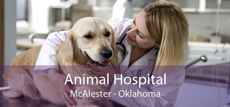 Animal Hospital McAlester - Oklahoma
