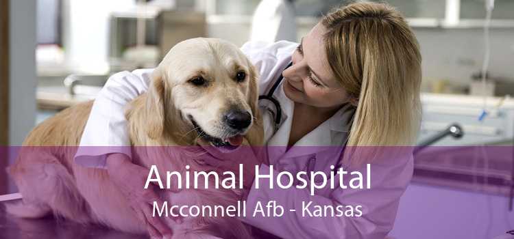Animal Hospital Mcconnell Afb - Kansas