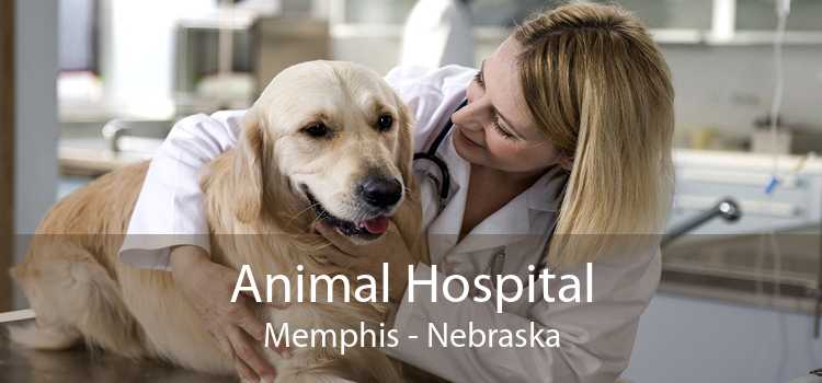 Animal Hospital Memphis - Nebraska