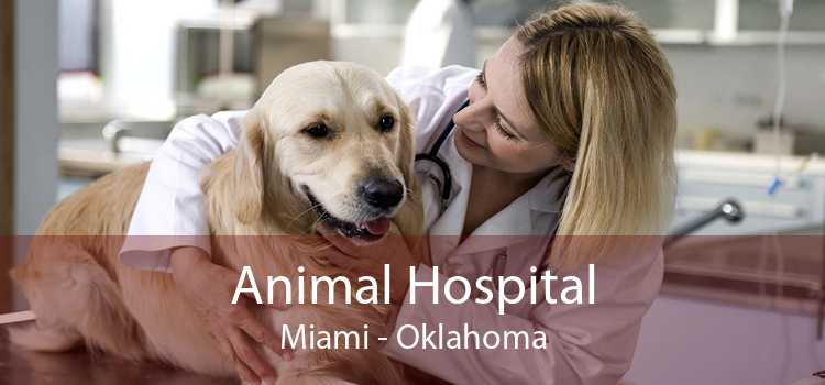 Animal Hospital Miami - Oklahoma