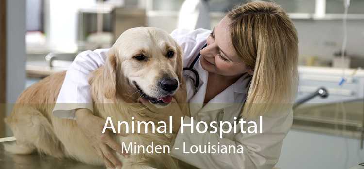 Animal Hospital Minden - Louisiana