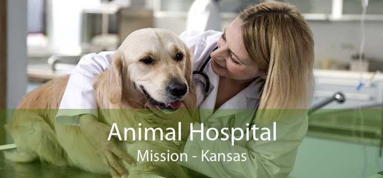 Animal Hospital Mission - Kansas