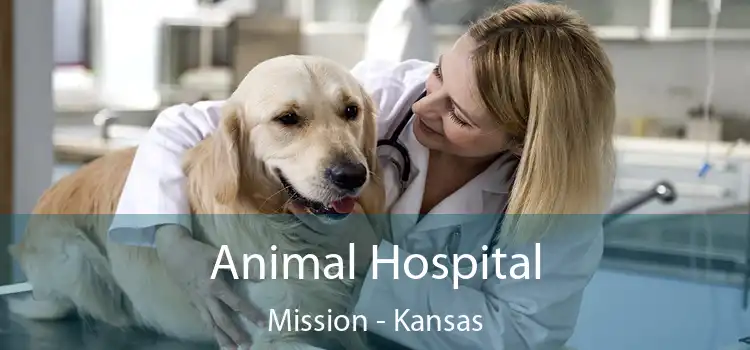 Animal Hospital Mission - Kansas