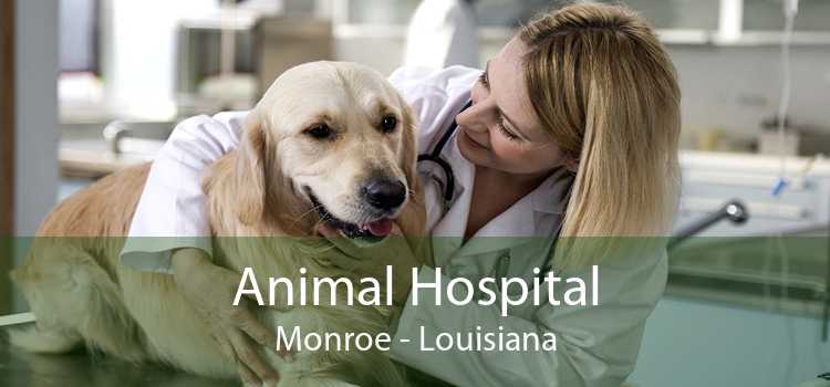 Animal Hospital Monroe - Louisiana