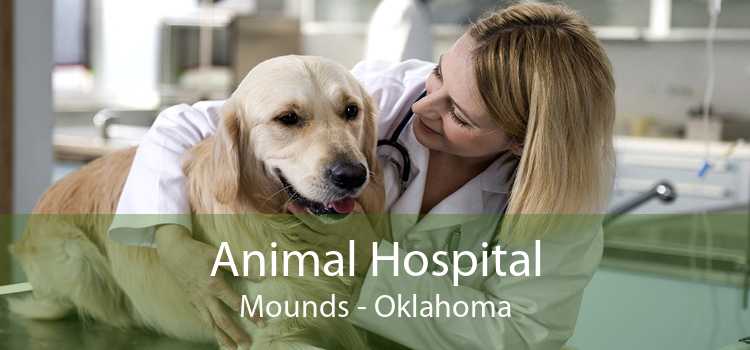 Animal Hospital Mounds - Oklahoma