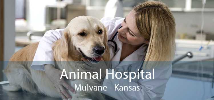 Animal Hospital Mulvane - Kansas