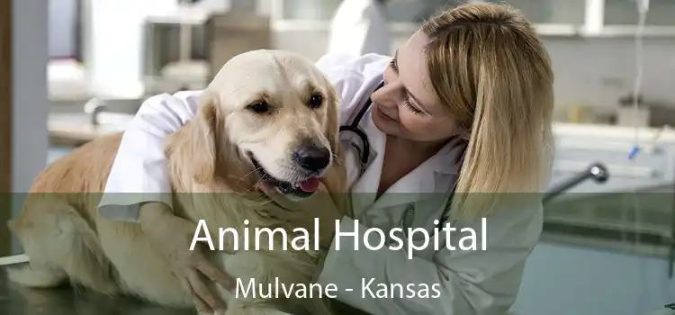 Animal Hospital Mulvane - Kansas