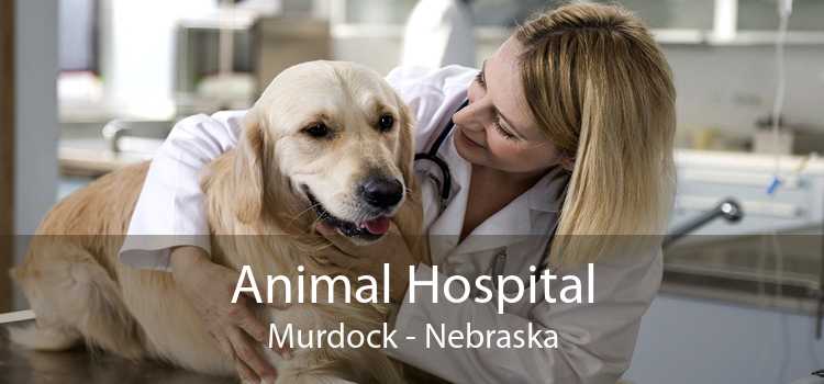 Animal Hospital Murdock - Nebraska