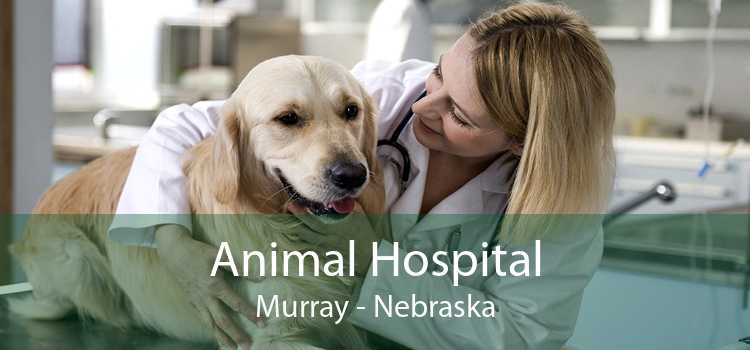 Animal Hospital Murray - Nebraska