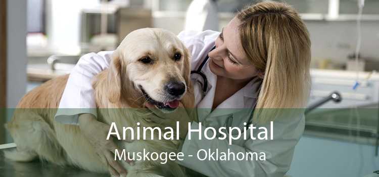 Animal Hospital Muskogee - Oklahoma