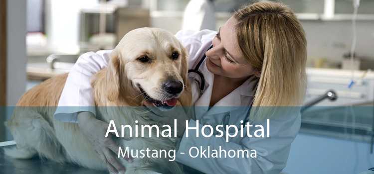Animal Hospital Mustang - Oklahoma