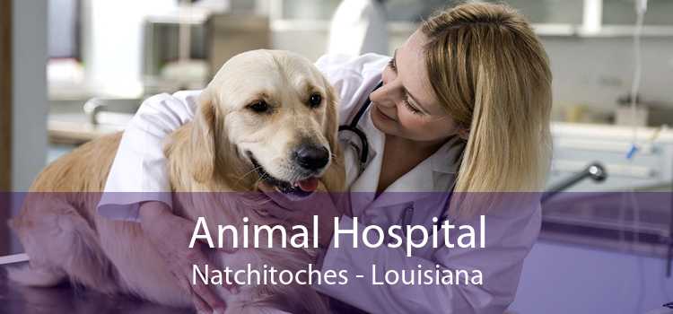 Animal Hospital Natchitoches - Louisiana