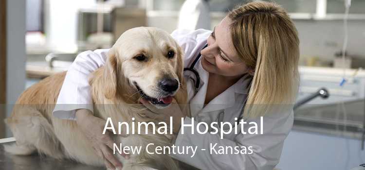 Animal Hospital New Century - Kansas
