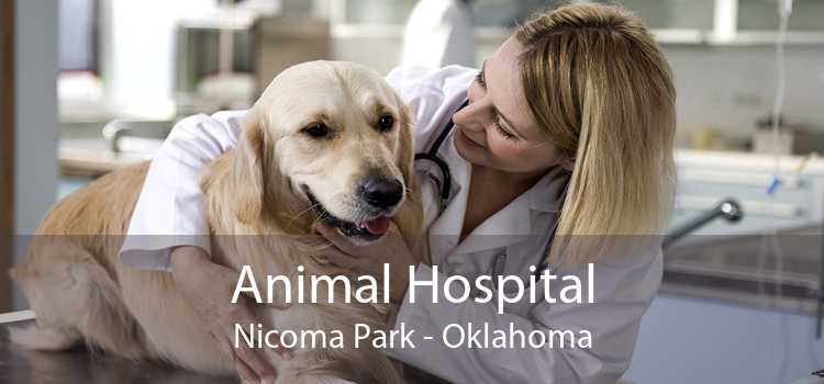Animal Hospital Nicoma Park - Oklahoma