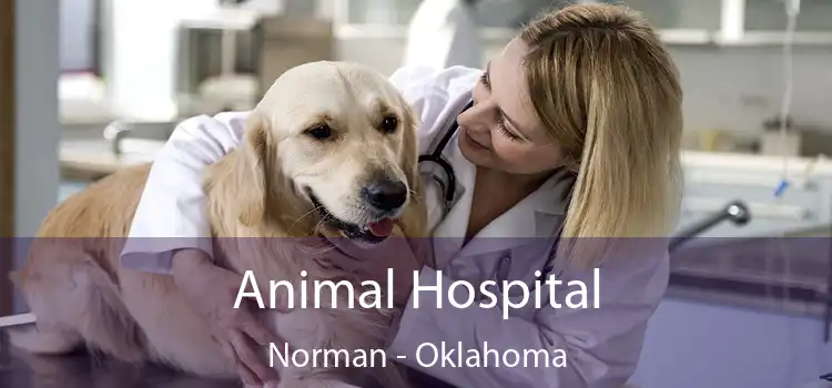 Animal Hospital Norman - Oklahoma