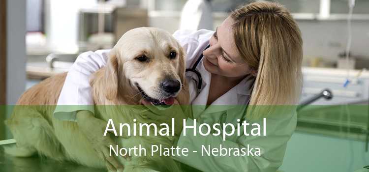 Animal Hospital North Platte - Nebraska