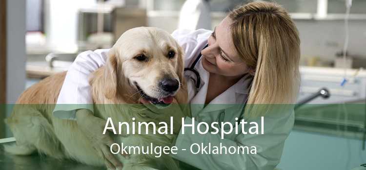 Animal Hospital Okmulgee - Oklahoma