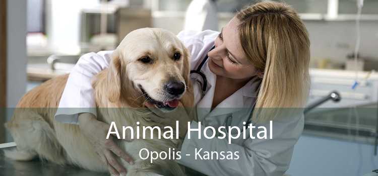 Animal Hospital Opolis - Kansas